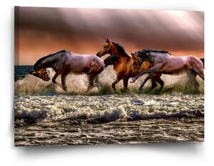 Sablio Obraz Koně ve vodě - 90x60 cm