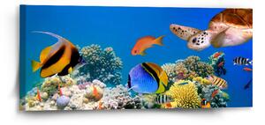 Sablio Obraz Korálový útes - 110x50 cm