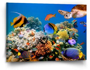 Sablio Obraz Korálový útes - 120x80 cm