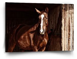 Sablio Obraz Kůň ve stáji - 60x40 cm