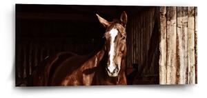 Sablio Obraz Kůň ve stáji - 110x50 cm