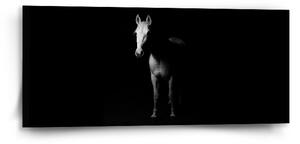 Sablio Obraz Kůň ve stínu - 110x50 cm