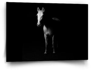 Sablio Obraz Kůň ve stínu - 60x40 cm