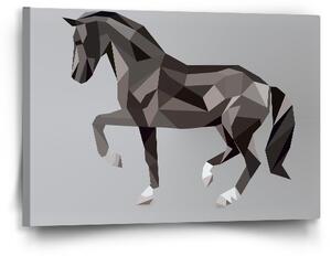 Sablio Obraz Kůň - 60x40 cm
