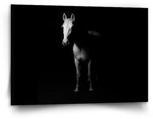 Sablio Obraz Kůň ve stínu - 120x80 cm