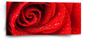 Sablio Obraz Květ růže - 110x50 cm
