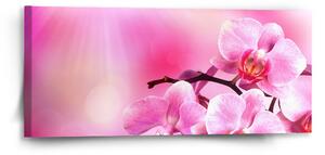 Sablio Obraz Květy orchideje - 110x50 cm