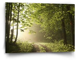 Sablio Obraz Lesní cesta - 60x40 cm