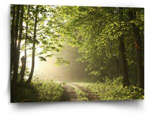 Sablio Obraz Lesní cesta - 120x80 cm