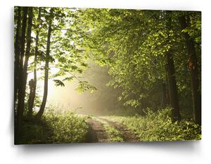 Sablio Obraz Lesní cesta - 90x60 cm