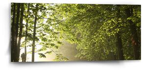 Sablio Obraz Lesní cesta - 110x50 cm