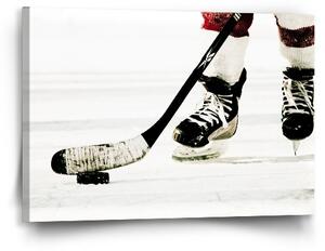 Sablio Obraz Lední hokej - 60x40 cm