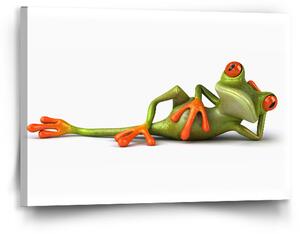 Sablio Obraz Ležící žába - 90x60 cm