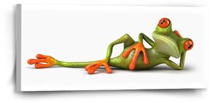Sablio Obraz Ležící žába - 110x50 cm