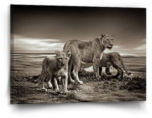 Sablio Obraz Lvice a lvíčata - 90x60 cm