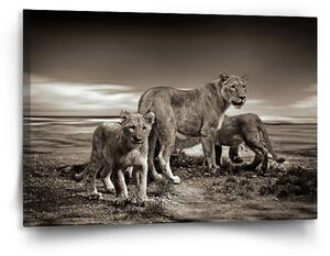 Sablio Obraz Lvice a lvíčata - 120x80 cm