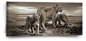 Sablio Obraz Lvice a lvíčata - 110x50 cm