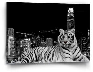 Sablio Obraz Městský tygr - 60x40 cm