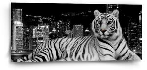 Sablio Obraz Městský tygr - 110x50 cm