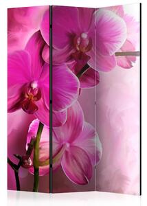 Paraván - Růžová orchidej 135x172