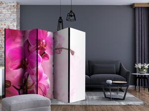 Paraván - Růžová orchidej II 225x172