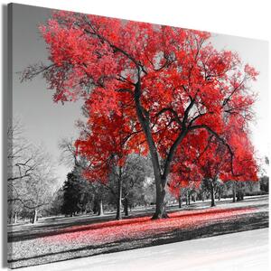 Obraz - Podzim v parku - červený 120x80