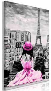 Obraz - Barva Paříže - růžová 40x60