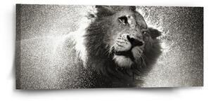 Sablio Obraz Mokrý lev - 110x50 cm