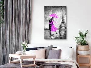 Obraz - Mlha v Paříži - růžová 60x90