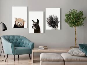 Obraz - Přátelská zvířata (kolekce) 60x30