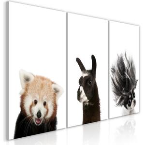 Obraz - Přátelská zvířata (kolekce) 60x30