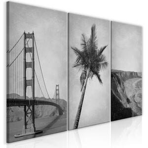 Obraz - Kalifornie (kolekce) 60x30