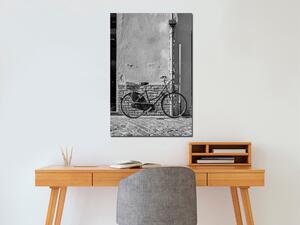 Obraz - Staré italské jízdní kolo 40x60