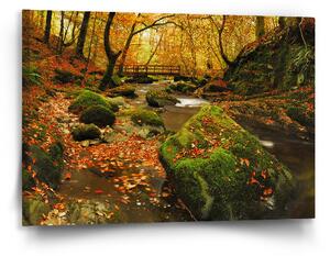 Sablio Obraz Most v lese - 90x60 cm
