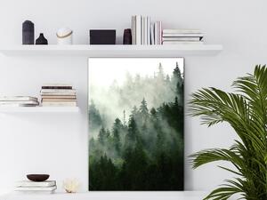 Obraz - Jehličnatý les 40x60