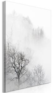 Obraz - Stromy v mlze 40x60