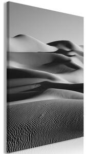 Obraz - Pouštní duny 40x60