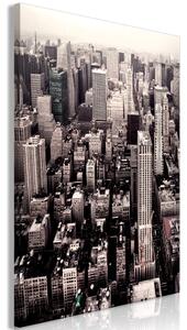 Obraz - Manhattan v sépiové barvě 60x90