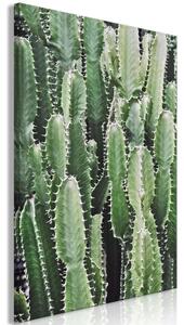 Obraz - Kaktusová zahrada 40x60