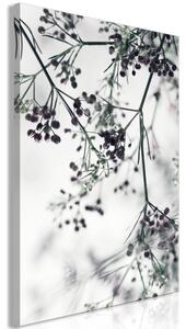 Obraz - Kvetoucí větvičky 40x60