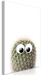 Obraz - Kaktus s očima 40x60