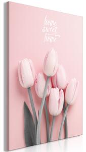 Obraz - Šest tulipánů 40x60