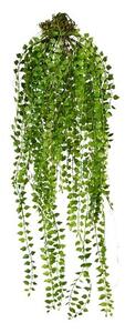 Umělá rostlina Columnea závěsná, 48 cm, zelená