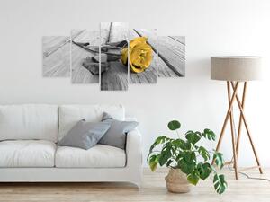 Obraz - Růže na dřevě - žlutá 100x50