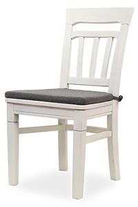 IBA Moderní židle MD 13 Varianta: Bílá bez čalounění