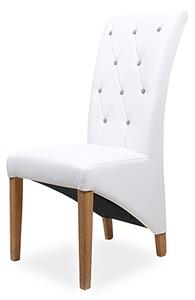 IBA Čalouněná židle W 300 Varianta: W 300 N10