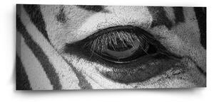 Sablio Obraz Oko zebry - 110x50 cm