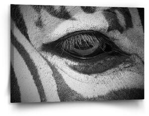 Sablio Obraz Oko zebry - 120x80 cm