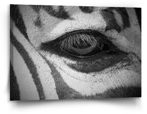 Sablio Obraz Oko zebry - 90x60 cm