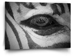Sablio Obraz Oko zebry - 60x40 cm